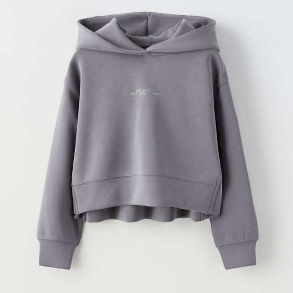 Zara Modal Blend Hoodie Sweatshirt and Plush Pants Set (...